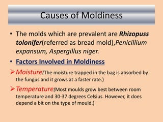 Causes of Moldiness
• The molds which are prevalent are Rhizopuss
tolonifer(referred as bread mold),Penicillium
expansum, Aspergillus niger.
• Factors Involved in Moldiness
Moisture(The moisture trapped in the bag is absorbed by
the fungus and it grows at a faster rate.)
Temperature(Most moulds grow best between room
temperature and 30-37 degrees Celsius. However, it does
depend a bit on the type of mould.)
 