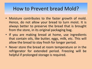 What Causes the Growth of Bread Mold and How to Prevent It