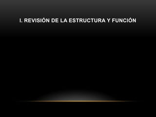 I. REVISIÓN DE LA ESTRUCTURA Y FUNCIÓN
 