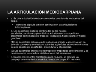 LA ARTICULACIÓN MEDIOCARPIANA
•   a. Es una articulación compuesta entre las dos filas de los huesos del
    carpo.
     •    Tiene una cápsula también continua con las articulaciones
         intercarpianas.
•   b. Las superficies distales combinadas de los huesos
    escafoides, semilunar y piramidal se articulan con las superficies
    proximales combinadas del trapecio, trapezoide, hueso grande y hueso
    ganchoso.
•   (1) Las superficies articulares de los huesos grande y ganchoso son en
    esencia convexas y se deslizan sobre las superficies articulares cóncavas
    de una porción del escafoides, el semilunar y el piramidal.
•   (2) Las superficies articulares del trapecio y trapezoide son cóncavas y se
    deslizan sobre la superficie distal convexa del escafoides.
•   c. Con los movimientos fisiológicos de la muñeca, se produce un
    complejo de movimientos entre los huesos del carpo. En resumen:
 
