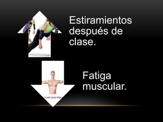 Estiramientos
después de
clase.


  Fatiga
  muscular.
 