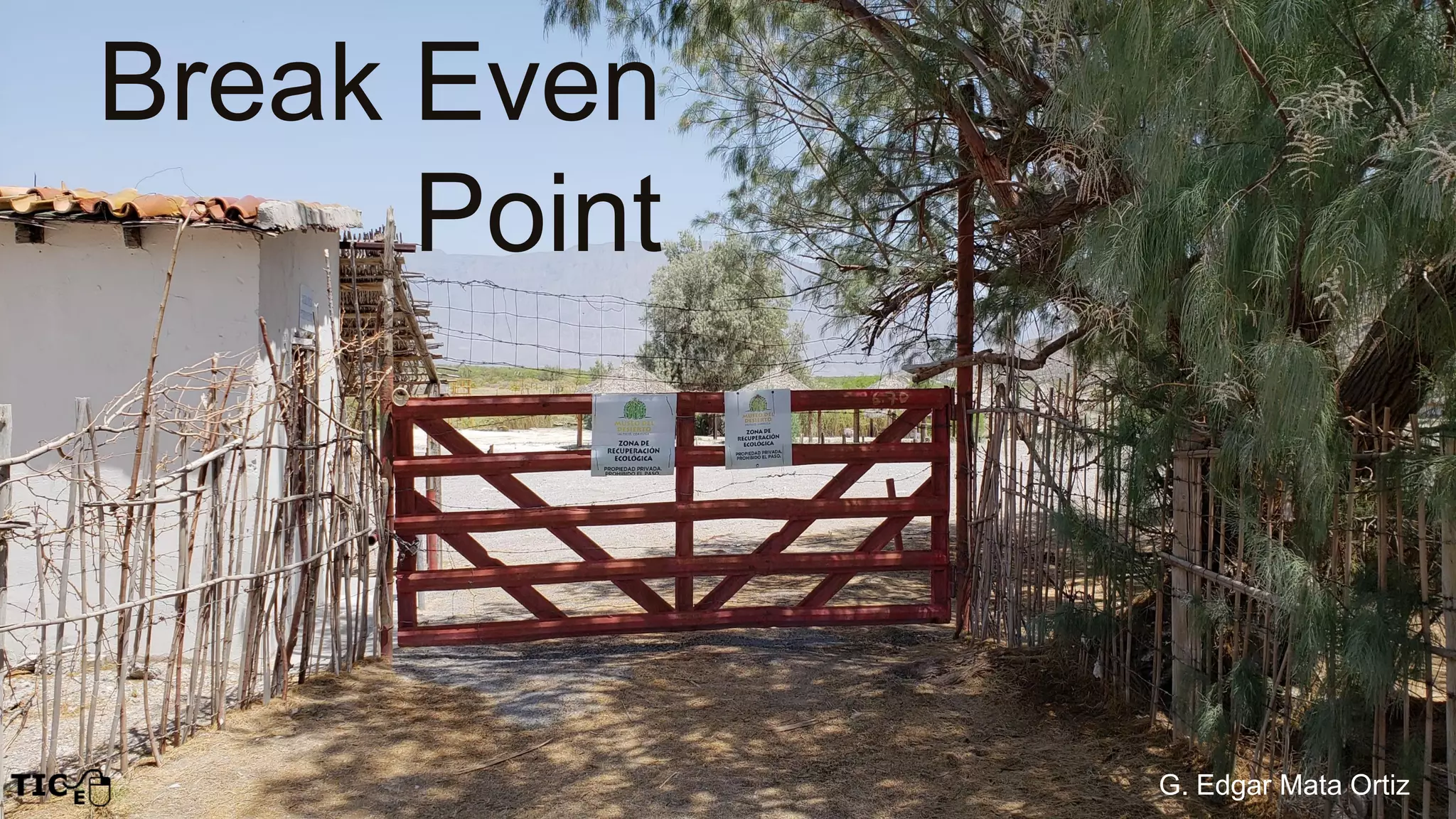 Break even point two linear equations system PPT