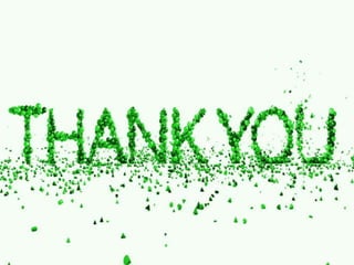 Breakfast rolls (food production)