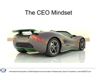The CEO Mindset 