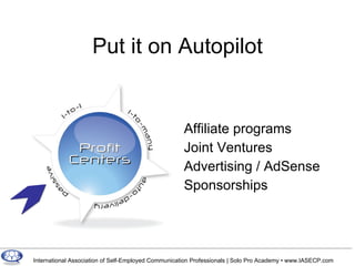 Put it on Autopilot Affiliate programs Joint Ventures Advertising / AdSense Sponsorships 