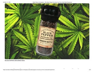 2/10/22, 4:11 PM Break Glass in Emergency - Why Black Pepper Can Save You From a Bad Weed Experience
https://cannabis.net/blog/medical/break-glass-in-emergency-why-black-pepper-can-save-you-from-a-bad-weed-experience 2/14
BLACK PEPPER AND BEING HIGH
k l i h l k
 Edit Article (https://cannabis.net/mycannabis/c-blog-entry/update/break-glass-in-emergency-why-black-pepper-can-save-you-from-a-bad-weed-experience)
 Article List (https://cannabis.net/mycannabis/c-blog)
 