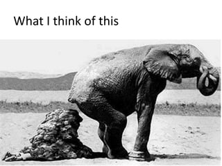 What I think of this
 