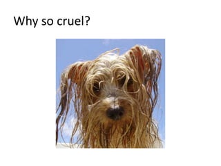 Why so cruel?
 