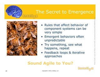 The Secret to Emergence
• Rules that affect behavior of
component systems can be
very simple
• Emergent behaviors often
unpredictable
• Try something, see what
happens, repeat
• Feedback loops & iterative
approaches
Copyright © 2014, Intellyx, LLC10
PhotoCredit:JuanLeishttps://www.flickr.com/photos/kaibara/4632384645/sizes/l
Sound Agile to You?Sound Agile to You?
 