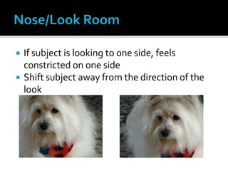  If subject is looking to one side, feels
constricted on one side
 Shift subject away from the direction of the
look
 