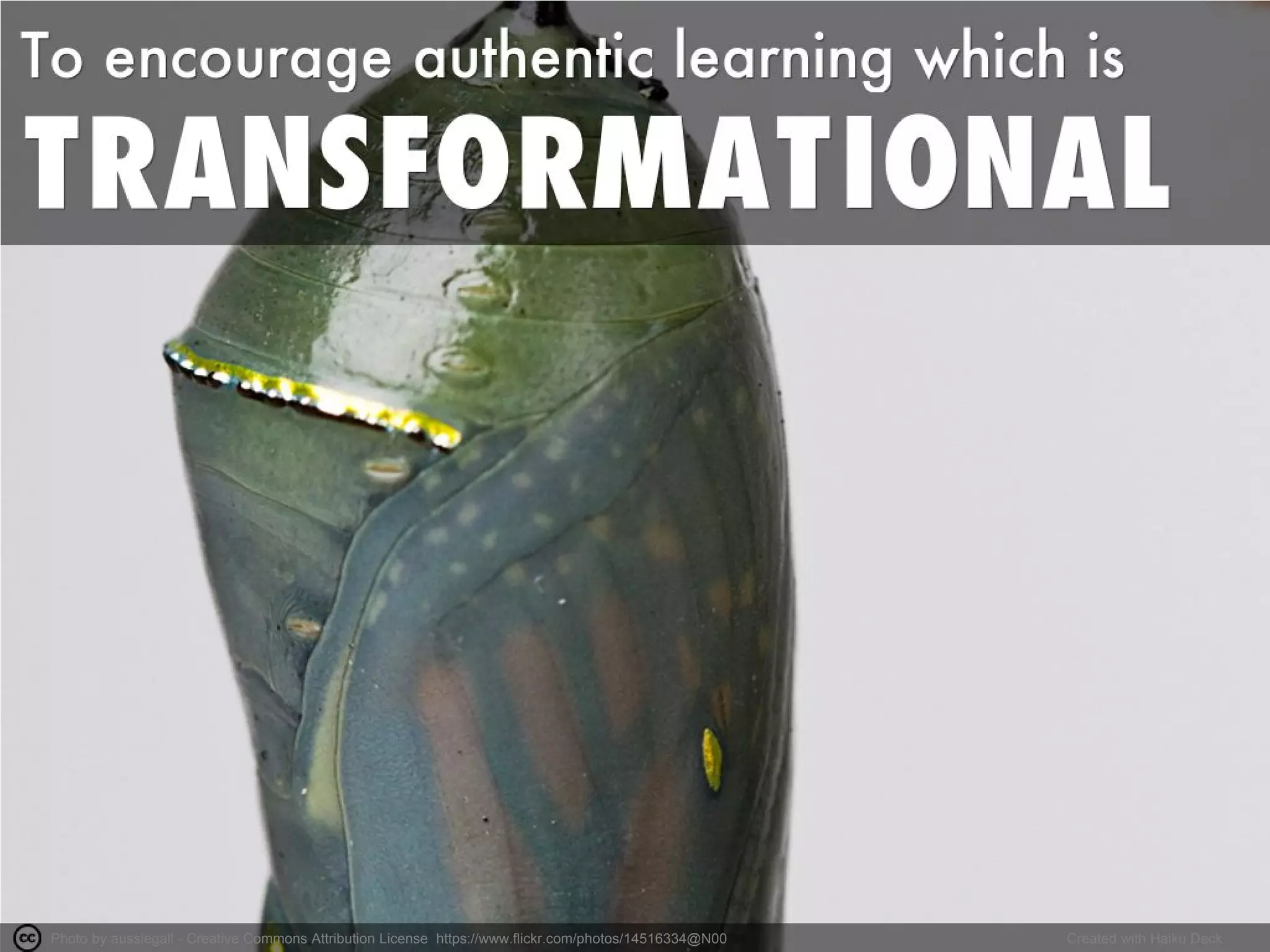 Photo by aussiegall - Creative Commons Attribution License https://www.flickr.com/photos/14516334@N00 Created with Haiku Deck
 