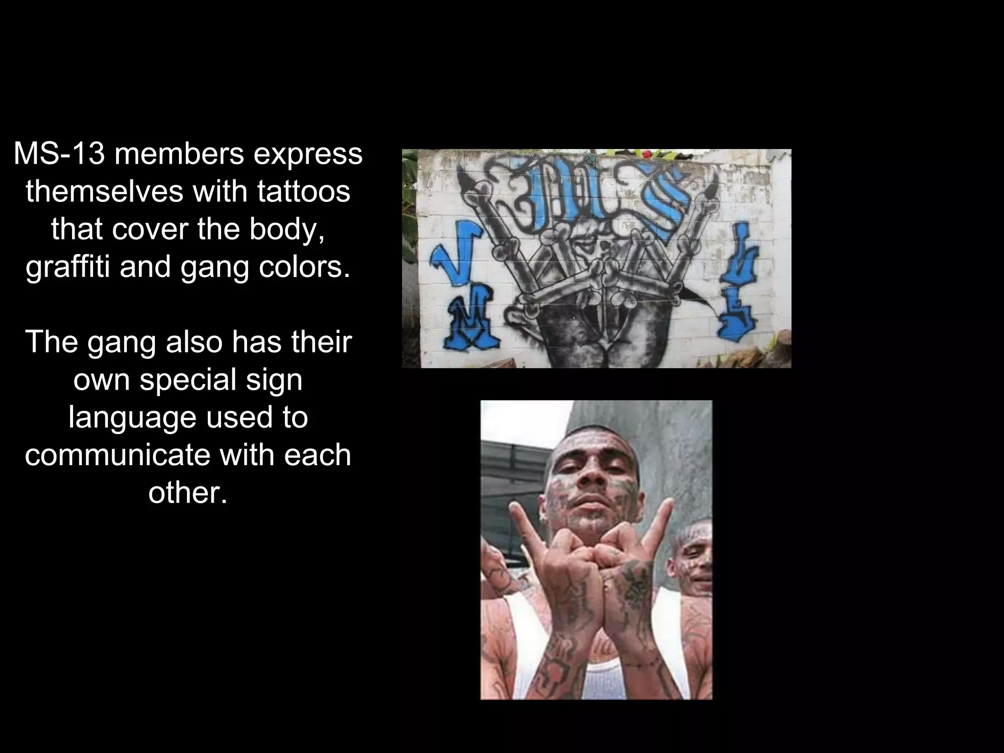 Ms 13 Colors And Signs