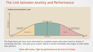The Link between Anxiety and Performance
The Experiment got mice more motivated to complete mazes when given electric shoc...