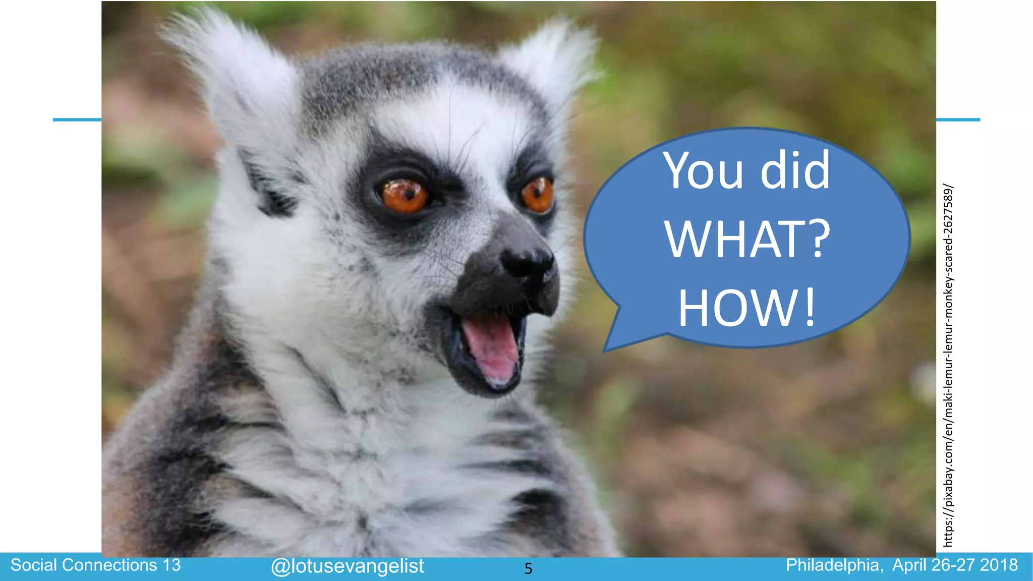 Social Connections 13 Philadelphia, April 26-27 2018@lotusevangelist
You did
WHAT?
HOW!
https://pixabay.com/en/maki-lemur-lemur-monkey-scared-2627589/
5
 