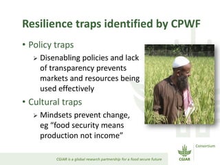 Resilience traps identified by CPWF
• Policy traps
 Disenabling policies and lack
of transparency prevents
markets and resources being
used effectively
• Cultural traps
 Mindsets prevent change,
eg “food security means
production not income”
 