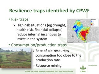 Resilience traps identified by CPWF
• Risk traps
 High risk situations (eg drought,
health risk, financial collapse)
reduce internal incentives to
invest in the system
• Consumption/production traps
 Rate of bio-resources
consumption too close to the
production rate
 Resource mining
 