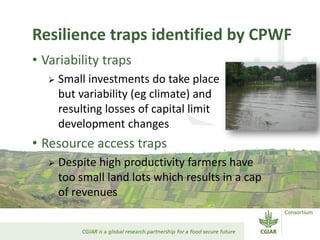 Resilience traps identified by CPWF
• Variability traps
 Small investments do take place
but variability (eg climate) and
resulting losses of capital limit
development changes
• Resource access traps
 Despite high productivity farmers have
too small land lots which results in a cap
of revenues
 