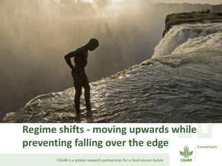 Breaking the trap: CGIAR experiences in resilience research