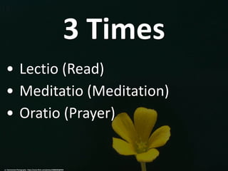 3 Times
• Lectio (Read)
• Meditatio (Meditation)
• Oratio (Prayer)
cc: Hammonton Photography - https://www.flickr.com/photos/25880282@N04
 