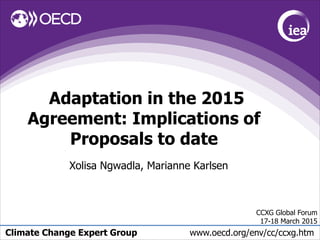 Climate Change Expert Group www.oecd.org/env/cc/ccxg.htm
Adaptation in the 2015
Agreement: Implications of
Proposals to date
Xolisa Ngwadla, Marianne Karlsen
CCXG Global Forum
17-18 March 2015
 