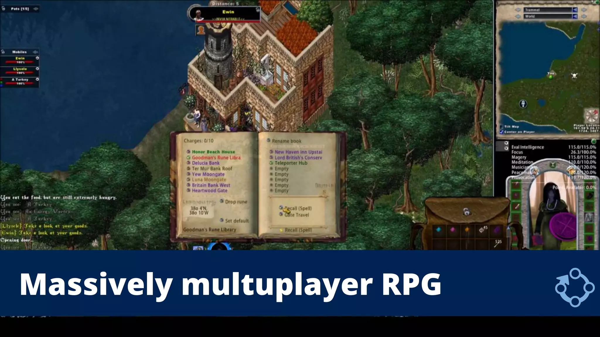 Massively multuplayer RPG
 