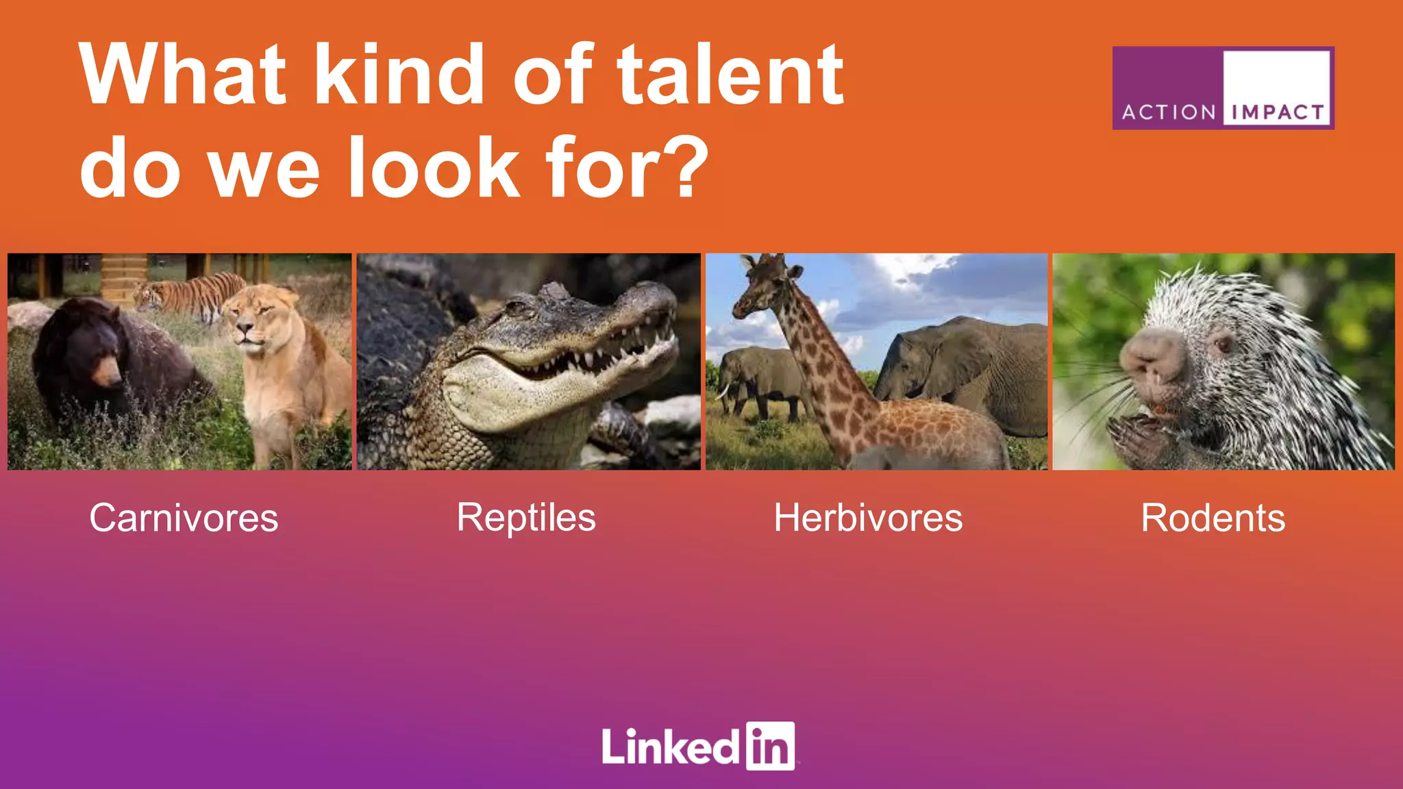 What kind of talent
do we look for?
Carnivores Reptiles Herbivores Rodents
 