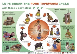LET’S BREAK THE PORK TAPEWORM CYCLE
with these 6 easy steps

1. Always use a toilet.
Use a toilet to stop worm eggs infecting pigs and other
people.

6. Cook meat well.
It is better to be safe than sorry. Pork must be cooked
thoroughly so that there is no pink meat and no blood
running out. This will kill any tapeworm cysts and prevent
infection.

This child has a tapeworm
growing inside him.
h,

C an

a d a.

Co

lle g

of
e, U niv ersity

G

u

el
p

ar

y

ph

oto

: O n t a r i o Ve t e

rin

Thousands of tapeworm eggs
come out with the faeces.

Tapeworm segments can be seen in the faeces.
They release thousands of eggs into the environment.

People get tapeworms
when they eat the cysts
in undercooked meat.

5. Check meat is safe.

Tapeworm eggs are too small to see and spread
easily. So wash your hands well with soap and
clean water after using the toilet and before
touching food.

The tapeworm 
The pork tapeworm (Taenia solium)
lives inside the small intestine.
It eats our food and can grow
up to 3 metres long.

Check meat carefully to make sure there are no
cysts. Meat with cysts should not be eaten or sold.

2. Wash your hands.

 Tapeworm cysts



4. Stop pigs from roaming.

Pork infected with cysts.

PO

C

: Ma
thias B o a

E



oto

TH

ph

LE

in the brain, eyes or
muscles cause epilepsy
(ﬁts), blindness, paralysis,
severe headaches,
insanity and even death.

RK

RM
TA P E W O

Y
C

The eggs grow into cysts and
can be found in infected meat.

The eggs spread easily.

Worm eggs can contaminate the soil and water supply.
They also get on our hands, food and drinking water.

Wash fruit and vegetables.
Boil drinking water.

3. Go to the clinic.
ph

oto:

T. N a s h

Keep your pigs in a kraal or tied to a
stake, so that they can’t eat human
faeces containing tapeworm eggs.

Pigs get infected.

Free-range pigs get infected by eating human
faeces containing tapeworm eggs.
© Krecek and Krecek cc, International Livestock Research Institute and Medical Research Council (2005)
Illustrated by Barry Jackson and designed by Lori Lake.

International Cysticercosis Coordination Center,
WHO/FAO Collaborating Center for Parasitic Zoonoses

Swallowing tapeworm eggs is dangerous.

Tapeworm eggs grow into cysts in the brain, eyes and
muscles causing epilepsy (ﬁts), blindness,
paralysis, severe headaches, insanity and even death.

If you think you
have tapeworm,
go to the clinic
and get treatment
as soon as
possible.
Deworming
medicine will kill
the tapeworm
and stop you from
infecting pigs and
other people.

 