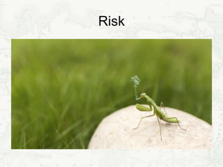 Risk