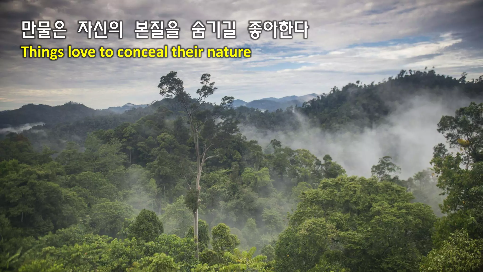 만물은 자신의 본질을 숨기길 좋아한다
Things love to conceal their nature
 