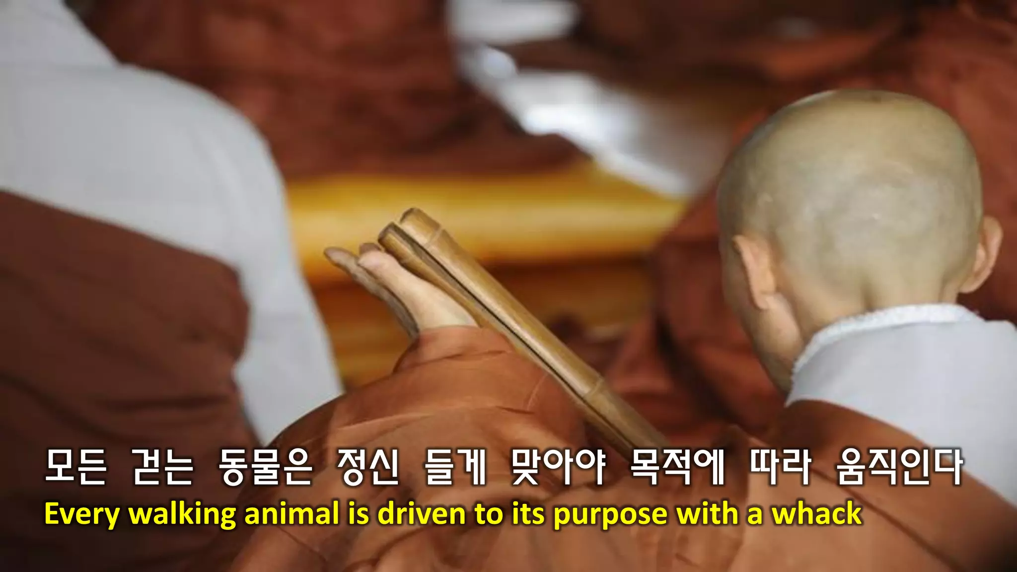모든 걷는 동물은 정신 들게 맞아야 목적에 따라 움직인다
Every walking animal is driven to its purpose with a whack
 