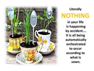 Literally
NOTHING
in your life
is happening
by accident….
It is all being
automatically
orchestrated
to occur
according to
what is
sown.
 