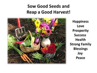 Sow Good Seeds and
Reap a Good Harvest!
Happiness
Love
Prosperity
Success
Health
Strong Family
Blessings
Joy
Peace
 