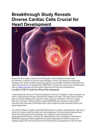 Breakthrough Study Reveals
Diverse Cardiac Cells Crucial for
Heart Development
Researchers have made a significant breakthrough in understanding the human heart
development, as detailed in a recent study published in Nature. By employing cutting-edge
techniques like single-cell RNA sequencing (scRNA-seq) and high-resolution multiplexed error-
robust fluorescence in situ hybridization (MERFISH), scientists have uncovered a comprehensive
atlas of cardiac cell types and their spatial organization during heart morphogenesis.
Cardiac Cells Crucial for Heart Development
Understanding the intricacies of heart development is crucial, as changes in cardiac structures can
lead to congenital heart diseases, affecting both children and adults. The study aimed to fill the
gaps in our understanding of how diverse cardiac cell types coordinate to form the complex
structure of the heart. Utilizing scRNA-seq and MERFISH, the researchers analyzed RNA
transcripts from thousands of individual cells to gain insights into their molecular profiles and
spatial organization.
The study’s findings revealed a remarkable heterogeneity in cardiac cell populations, with twelve
distinct cell classes identified within each cell compartment. By dissecting developing human
hearts and employing advanced techniques, the researchers uncovered previously
underrepresented cell types, enriching our understanding of heart development. Furthermore,
MERFISH imaging provided insights into the spatial organization of cardiovascular cells,
shedding light on the intricate interactions between different cell populations within the heart.
 