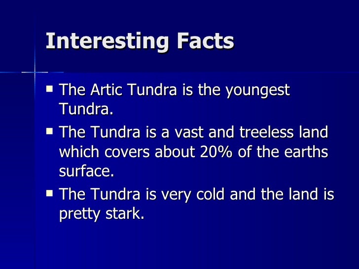 facts about the tundra