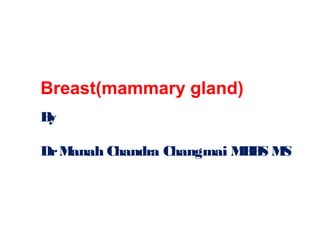 Breast(mammary gland)
By
DrManah Chandra Changmai MBBS MS
 