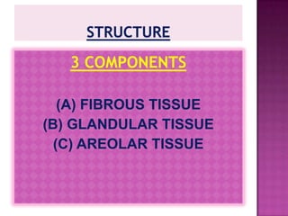 RELATIONSTHE BASE OF THE MAMMARY GLAND CALLED AS  MAMMARY BED RESTS UPON THE FOLLOWING STRUCTURES (FROM SUPERFICIAL TO DEEP)RETROMAMMARY SPACEDEEP FASCIA (PECTORAL FASCIA)MUSCLES- PECTORALIS MAJOR, SERRATUS ANTERIOR, EXTERNAL OBLIQUERETROMAMMARY SPACEA SPACE DEEP TO THE BASE OF THE GLAND, LIES SUPERFICIAL TO DEEP FASCIA, CONTAINS LOOSE AREOLAR TISSUE, MAKES THE GLAND FREELY MOVABLE.