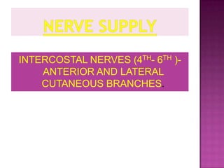 NEUROVASCULAR SUPPLY