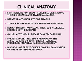 VENOUS DRAINAGEVEINS FORM AN ANASTOMOTIC VENOUS CIRCULAR PLEXUS ARROUND THE MAMMARY GLAND KNOWN AS CIRCULAR VENOSUS.VEINS FROM THIS PLEXUS ENDS IN AXILLARY, INTERNAL THORACIC AND POSTERIOR INTERCOSTAL VEINS.