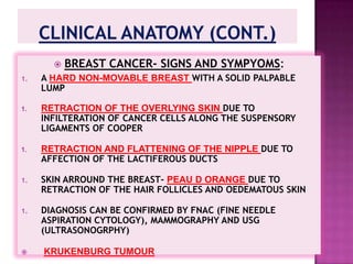 NERVE SUPPLYINTERCOSTAL NERVES (4TH- 6TH )- ANTERIOR AND LATERAL CUTANEOUS BRANCHES.
