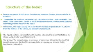 Structure of the breast
 Breasts are present in both sexes. In males and immature females, they are similar in
structure .
 The nipples are small and surrounded by a colored area of skin called the areola. The
breast tissue consists of a system of ducts embedded in connective tissue that does not
extend beyond the margin of the areola.
 In the male, the nipple usually lies in the fourth intercostal space about 4 in. (10 cm)
from the midline. In the female, its position is not constant.
 The nipple contains 2 layers of smooth muscles, a longitudinal layer that flattens the
nipple and a circular layer that erects it.
 The areola: The circular areola is composed of pigmented skin containing modified
sweat & sebaceous glands which enlarge during pregnancy and become visible
(Montgomery tubercles).
 