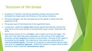 Structure of the breast
 At puberty in females, the breasts gradually enlarge and assume their
hemispherical shape under the influence of the ovarian hormones.
 The ducts elongate, but the increased size of the glands is mainly from the
deposition of fat.
 The greater part of the breast lies in the superficial fascia.
 A small part, called the axillary tail extends upward and laterally, pierces the
deep fascia at the lower border of the pectoralis major muscle, and enters the
axilla.
 Each breast consists of 15 to 20 lobes, which radiate out from the nipple. The
main duct from each lobe opens separately on the summit of the nipple and
possesses a dilated ampulla just before its termination. The base of the nipple is
surrounded by the areola. Tiny tubercles on the areola are produced by the
underlying areolar glands. The lobes of the gland are separated by fibrous septa
that serve as suspensory ligaments . Behind the breasts is a space filled by loose
connective tissue called the retromammary space.
 