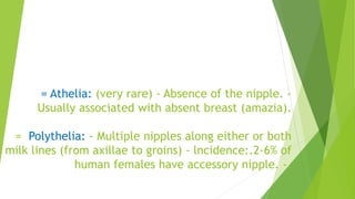 Breast | PPTX