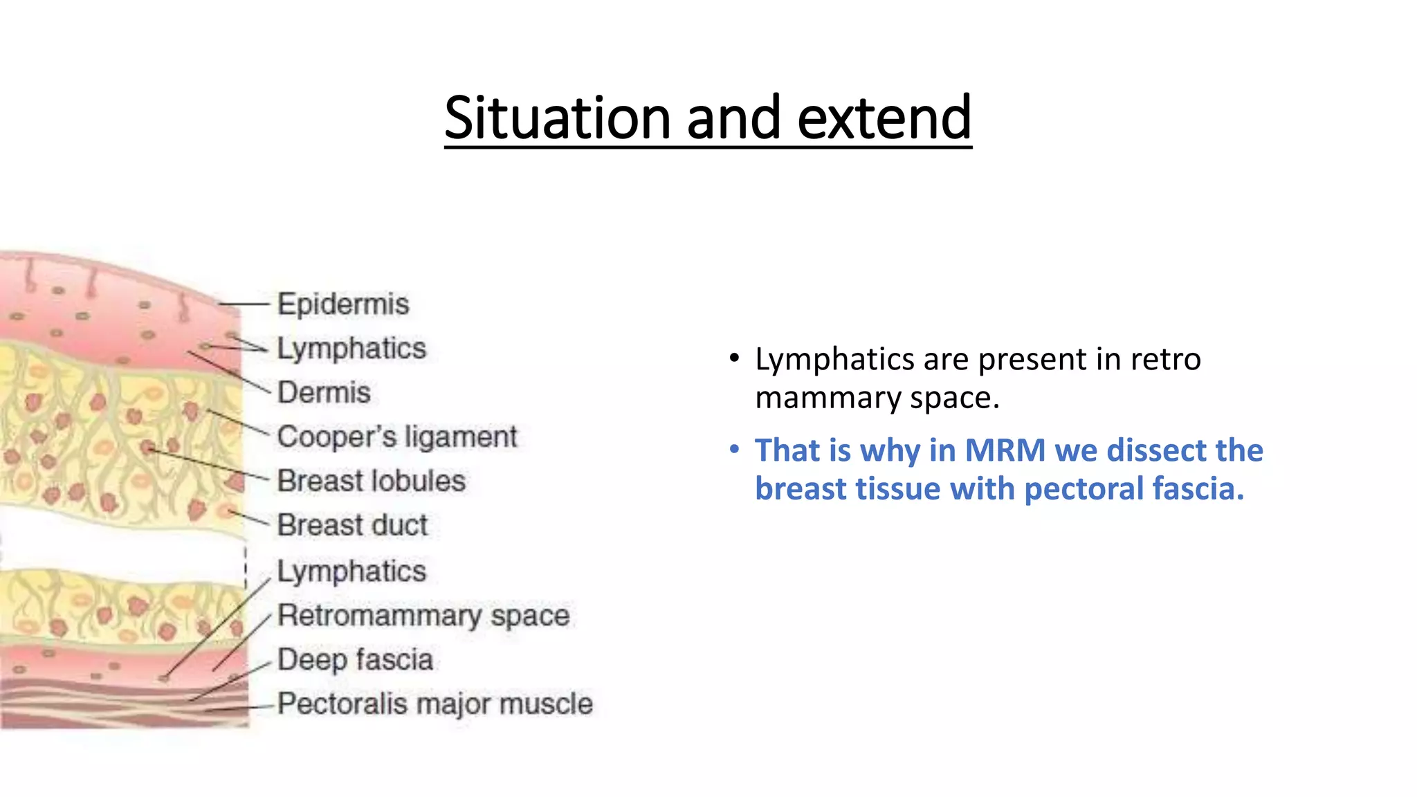 Situation and extend
• Lymphatics are present in retro
mammary space.
• That is why in MRM we dissect the
breast tissue with pectoral fascia.
 