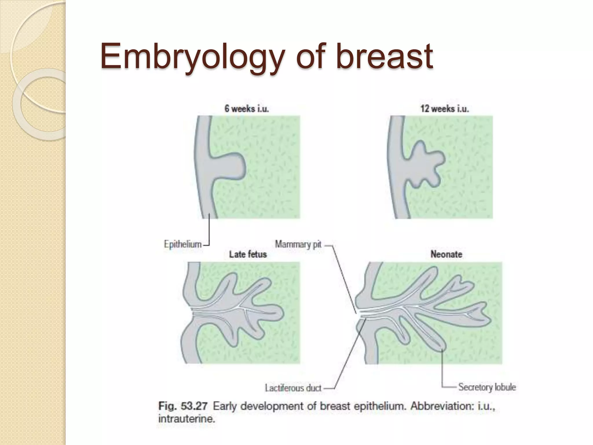 BREAST - ANATOMY AND PHYSIOLOGY.pptx