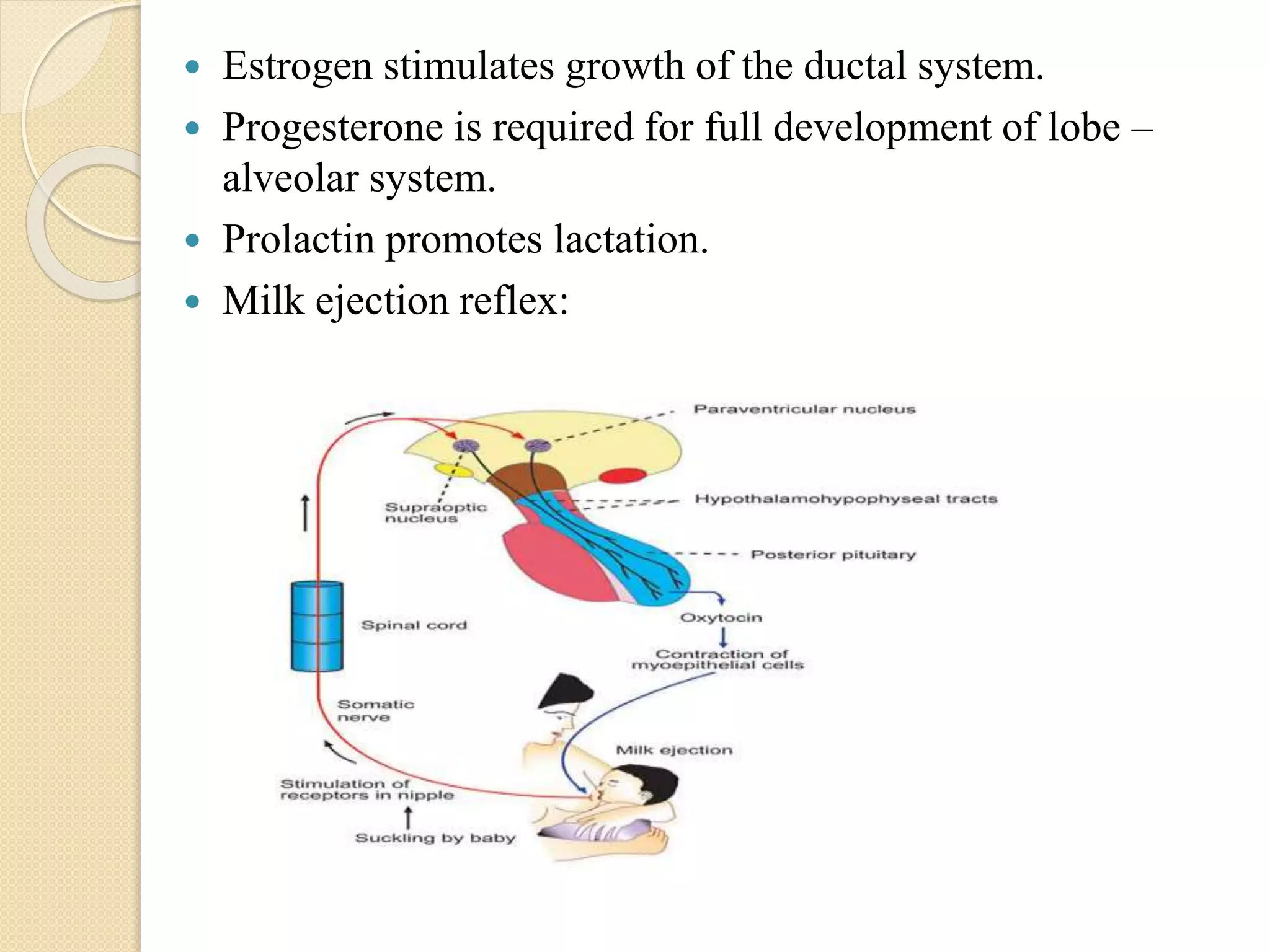 BREAST - ANATOMY AND PHYSIOLOGY.pptx