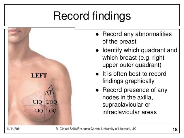 breast exam breast exam documentation