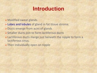 Breast introduction 1 | PPTX