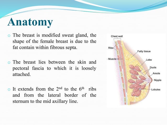 Breast abscess f .pptx | Ear, Nose and Throat Conditions | Diseases and ...