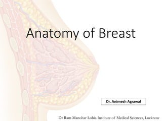 Anatomy of Breast
Dr. Animesh Agrawal
Dr Ram Manohar Lohia Institute of Medical Sciences, Lucknow
 