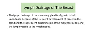 Lymph Drainage of The Breast
• The lymph drainage of the mammary gland is of great clinical
importance because of the frequent development of cancer in the
gland and the subsequent dissemination of the malignant cells along
the lymph vessels to the lymph nodes.
 